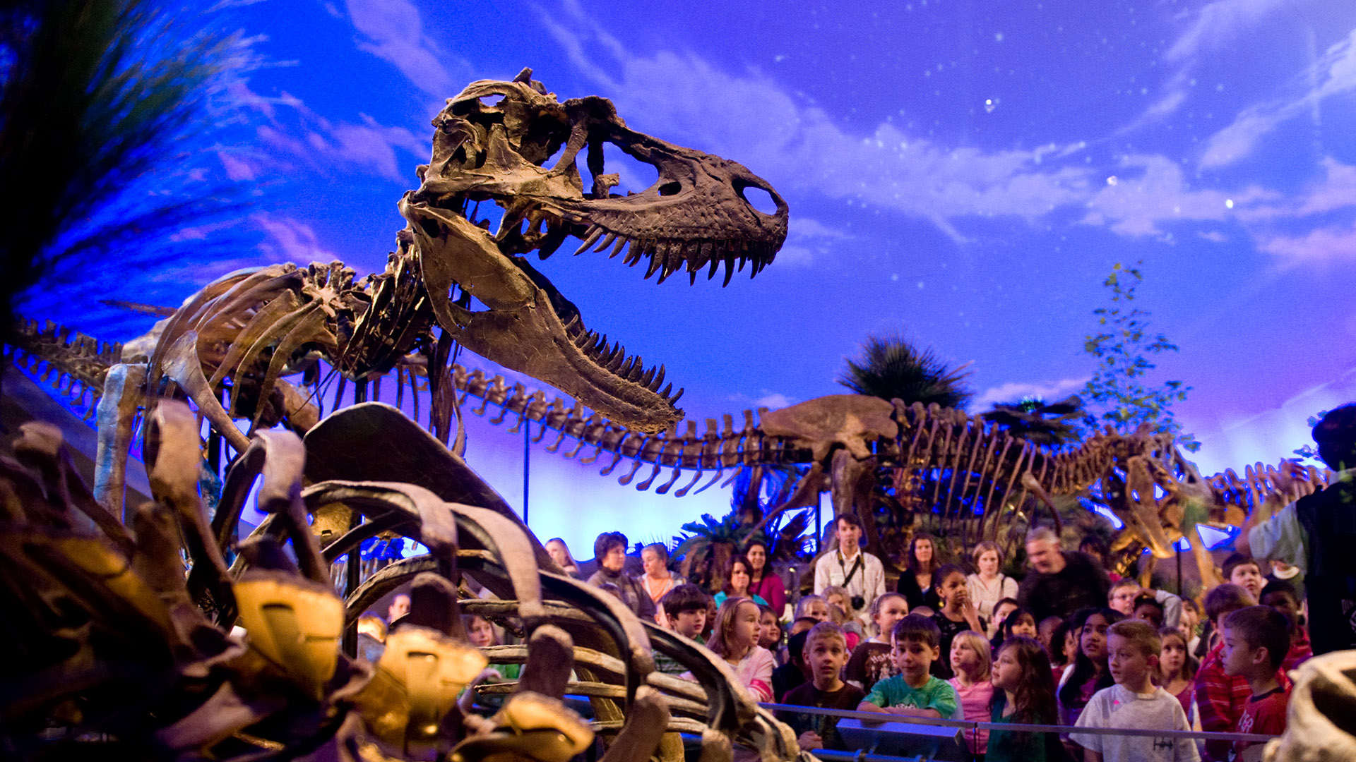Group looking at Tyrannosaurus Rex in Dinosphere.