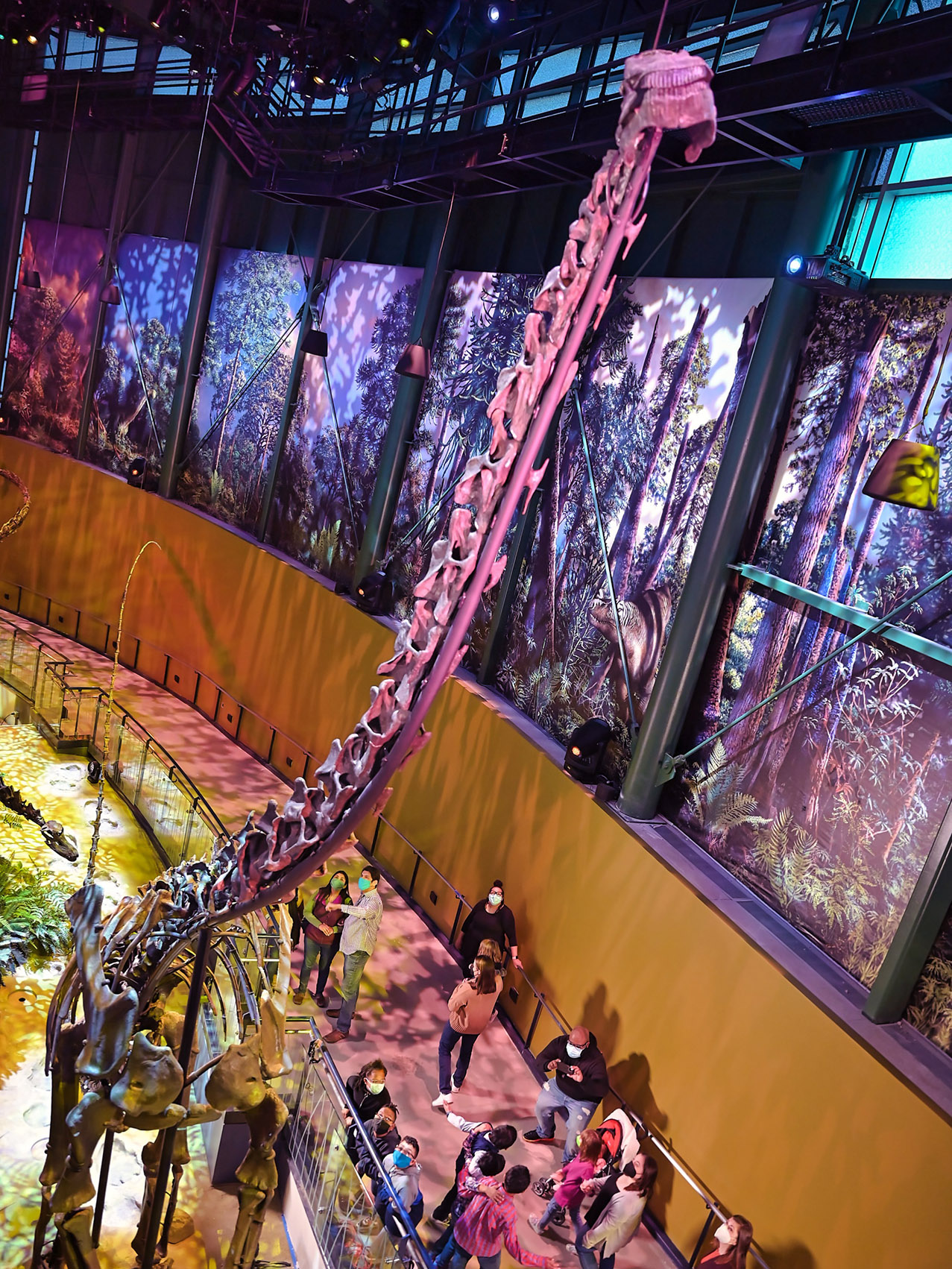 https://dktix1rrcd7mv.cloudfront.net/images/3:4/Dinosphere-Jurassic-Sauropod.jpg